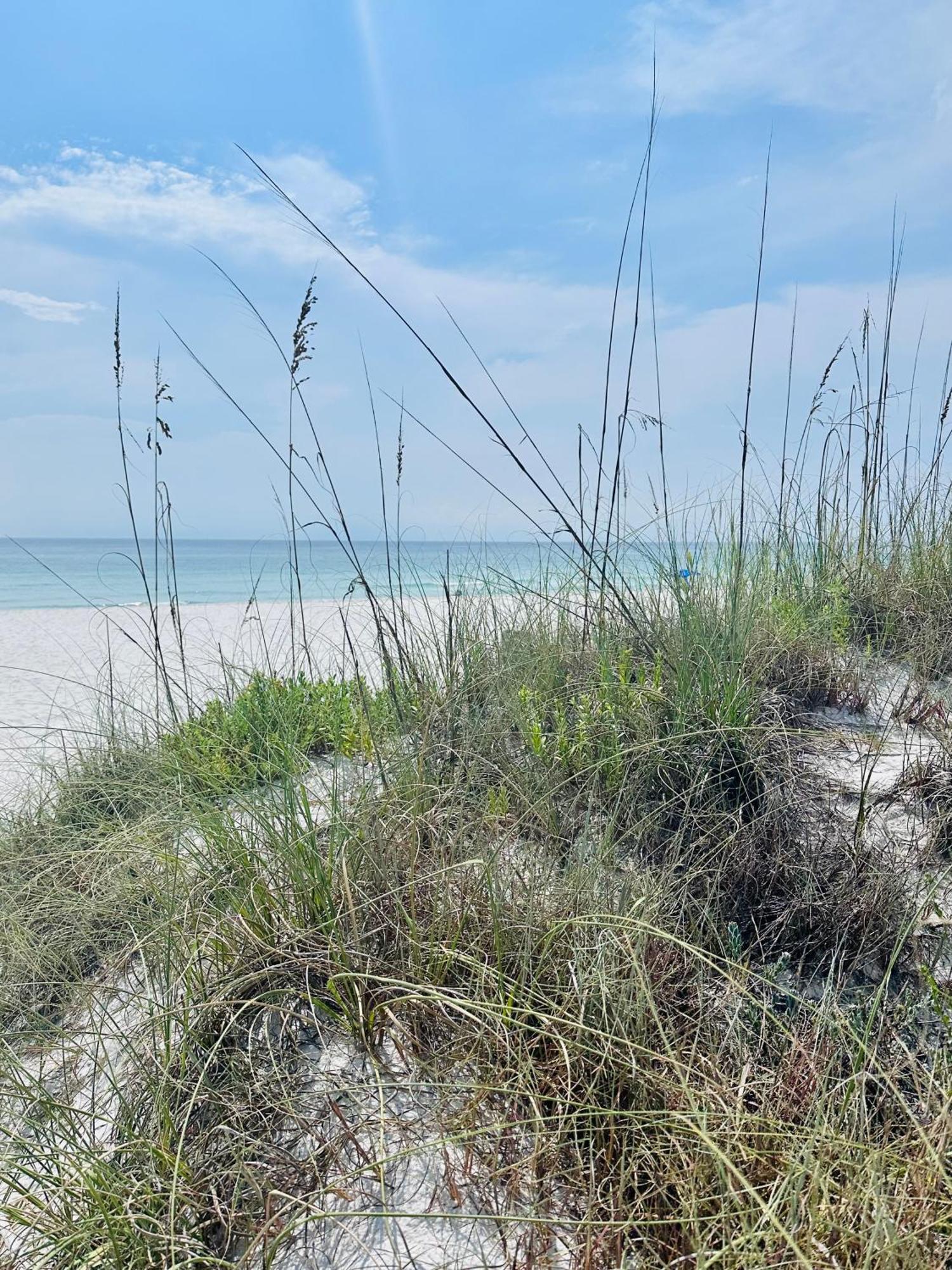 Sea Salt Vacation Home, Private Pool - Walk To Beach Panama City Beach Exteriér fotografie